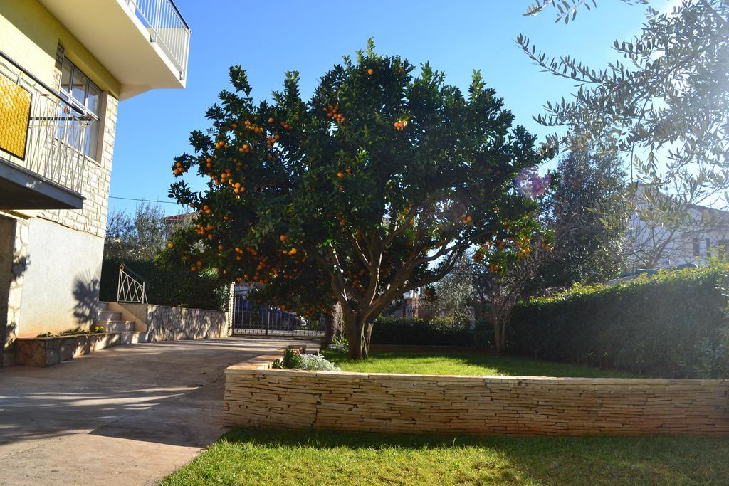 Angie Apartmán Zadar